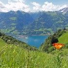 1_(c)Heidiland_Tourismus Walensee